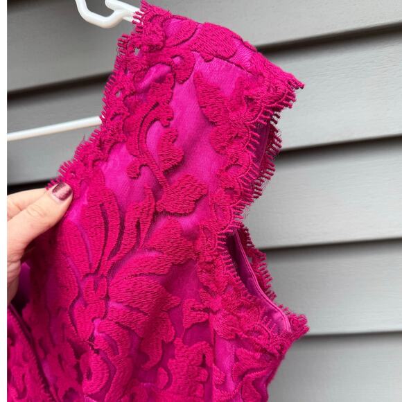 Tadashi Shoji size 14 Pink Embroidered Lace Overlay Knee Length Sheath Dress - Picture 7 of 14